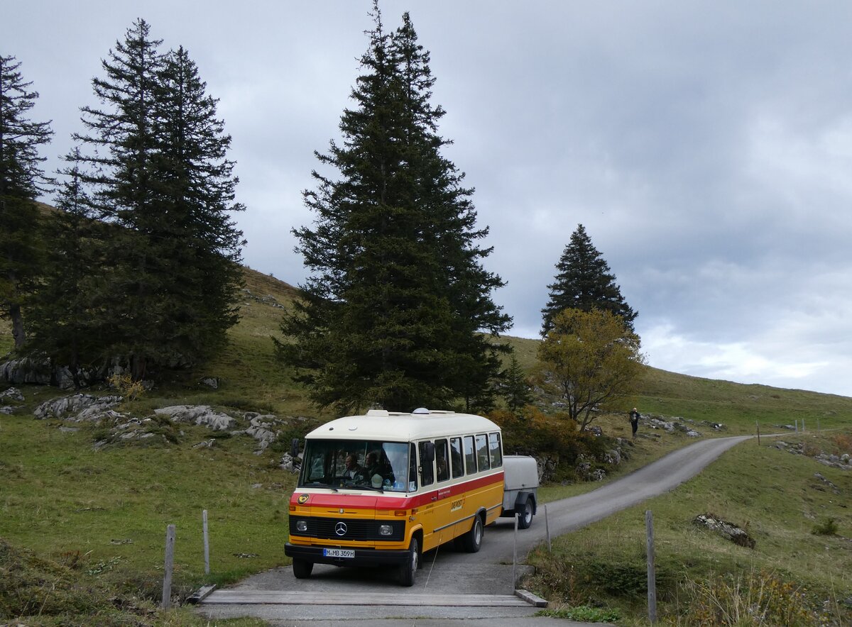 (268'126) - Aus Deutschland: Hahn, M�nchen - Nr. 6/M-MB 309H - Mercedes (ex M�ller, CH-Ennetmoos Nr. 6; ex Portenier, CH-Adelboden Nr. 6/PID 492; ex Geiger, CH-Adelboden Nr. 6) am 12. Oktober 2024 bei der Bundalp