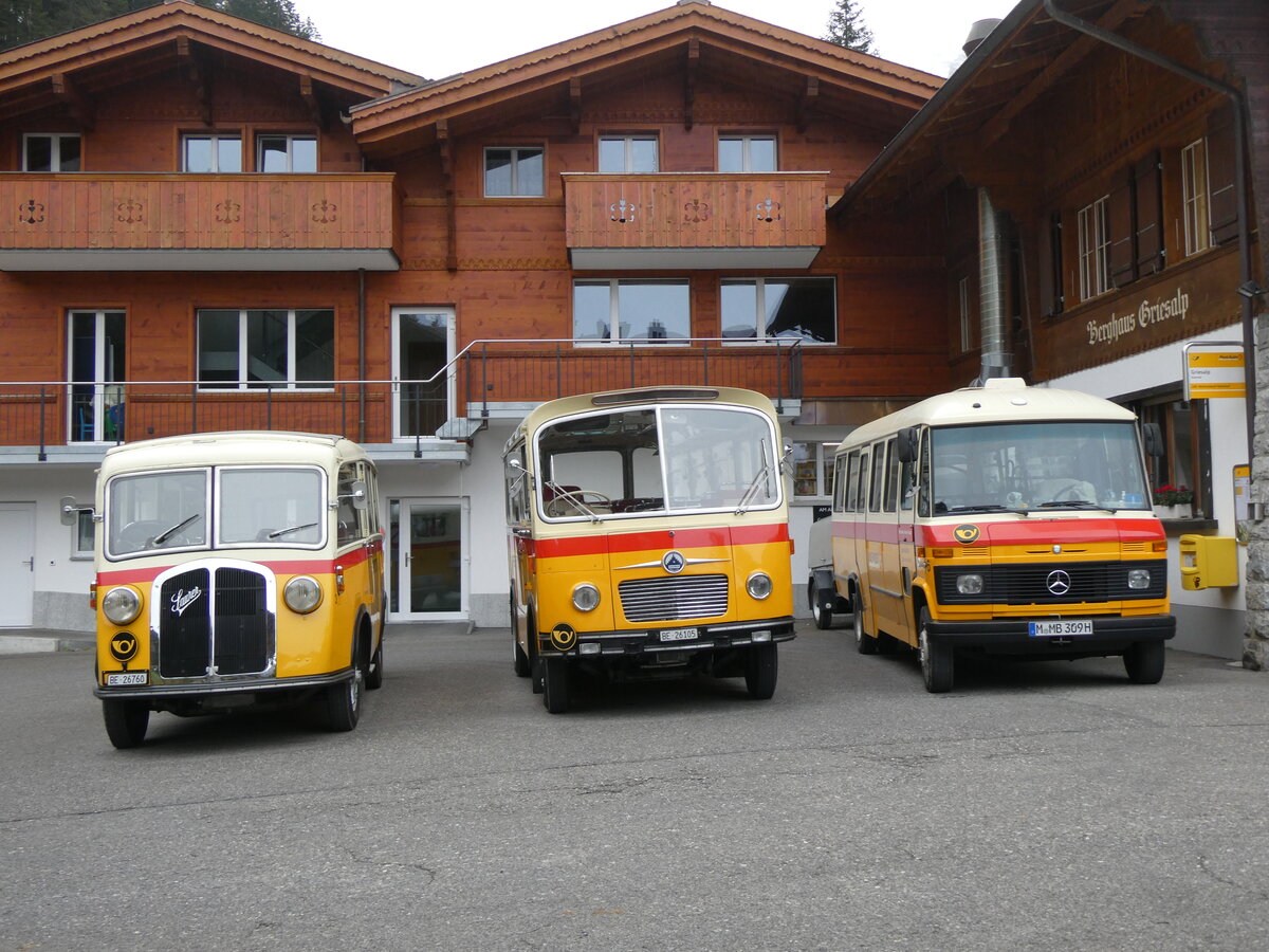 (268'149) - Schmid, Th�rishaus - Nr. 3/BE 26'760 - Saurer/Gangloff (ex Geiger, Adelboden Nr. 3) + Nr. 9/BE 26'105 - Saurer/R&J (ex Geiger, Adelboden Nr. 9) + aus Deutschland: Hanh, M�nchen - Nr. 6/M-MB 309H - Mercedes (ex M�ller, CH-Ennetmoos Nr. 6; ex Portenier, CH-Adelboden Nr. 6/PID 492; ex Geiger, CH-Adelboden Nr. 6) am 12. Oktober 2024 auf der Griesalp