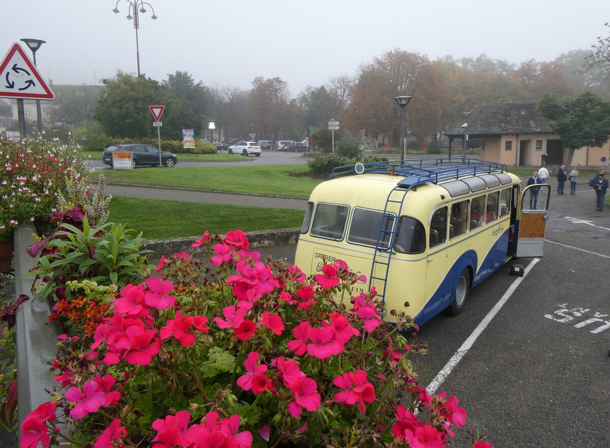 (268'532) - Flecher, Ohnenheim - DZ 507 MG - Saurer/Di Rosa am 26. Oktober 2024 in Ribeauvill�, Parkplatz