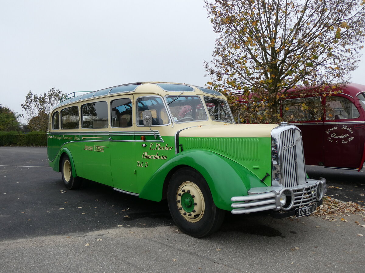 (268'587) - Flecher, Ohnenheim - DZ 827 AF - Saurer/Gangloff Colmar (ex Josy Tourisme, Russ; ex Astra Voyages, Strasbourg; ex Wagner, Cleebourg; ex Astra Voyages, Strasbourg) am 26. Oktober 2024 in Kintzheim, Cigoland