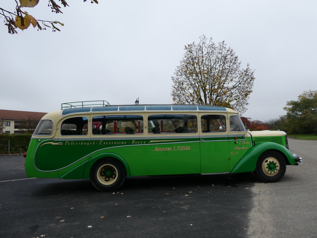 (268'594) - Flecher, Ohnenheim - DZ 827 AF - Saurer/Gangloff Colmar (ex Josy Tourisme, Russ; ex Astra Voyages, Strasbourg; ex Wagner, Cleebourg; ex Astra Voyages, Strasbourg) am 26. Oktober 2024 in Kintzheim, Cigoland