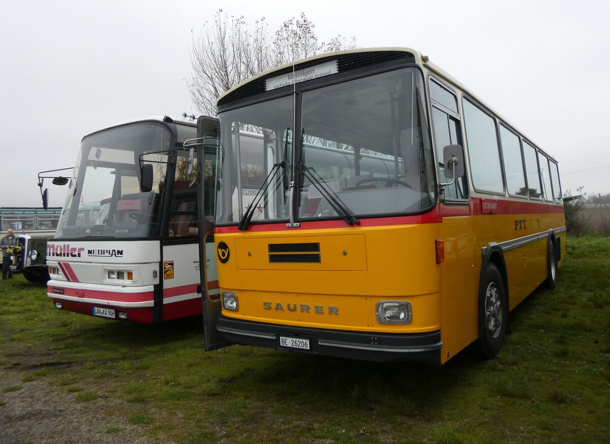 (268'681) - Aus der Schweiz: Schmid, Th�rishaus - BE 26'206 - Saurer/T�scher (ex P 24'244) am 26. Oktober 2024 in Kintzheim, Cigoland