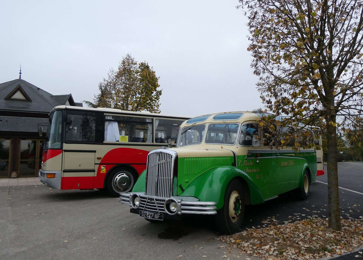 (268'714) - Flecher, Ohnenheim - DZ 827 AF - Saurer/Gangloff Colmar (ex Josy Tourisme, Russ; ex Astra Voyages, Strasbourg; ex Wagner, Cleebourg; ex Astra Voyages, Strasbourg) am 27. Oktober 2024 in Kintzheim, Cigoland