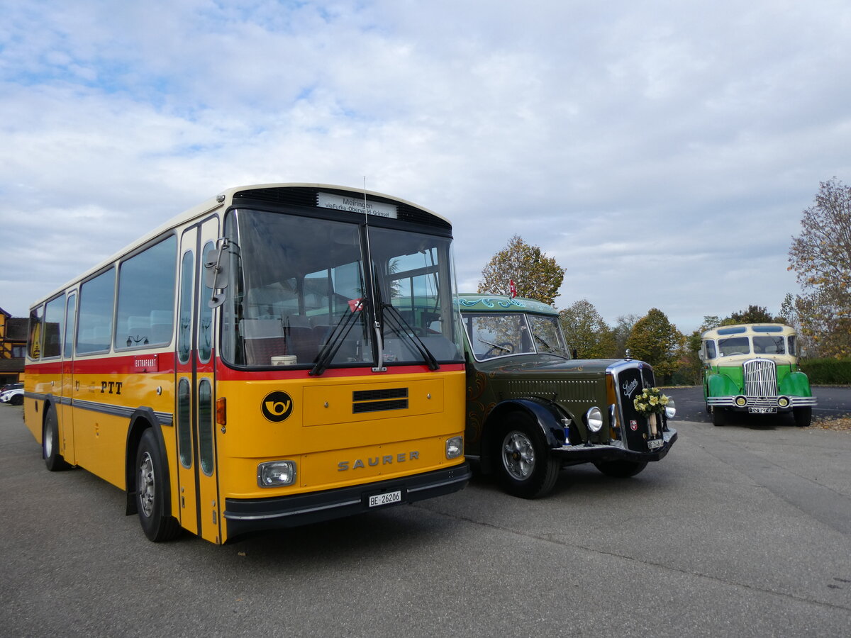 (268'725) - Aus der Schweiz: Schmid, Th�rishaus - BE 26'206 - Saurer/T�scher (ex P 24'244) am 27. Oktober 2024 in Kintzheim, Cigoland