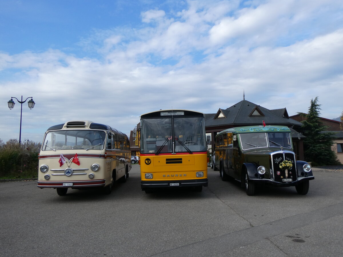 (268'739) - Aus der Schweiz: Ballestraz, Gr�ne - VS 11'615 - Saurer/Saurer (ex Girardet, Yverdon) + Schmid, Th�rishaus - BE 26'206 - Saurer/T�scher (ex P 24'244) + Lorenz, Lyssach - BE 2548 U - Saurer/Saurer (ex Geiger, Adelboden Nr. 8; ex P 1997) am 27. Oktober 2024 in Kintzheim, Cigoland