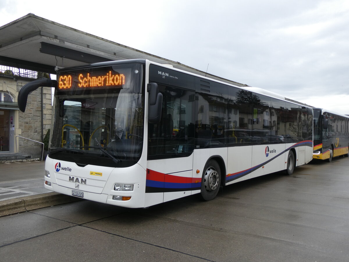 (269'283) - PostAuto Ostschweiz - SZ 124'525/PID 5262 - MAN (ex SG 426'816; ex Geissmann, H�gglingen) am 19. November 2024 beim Bahnhof Uznach