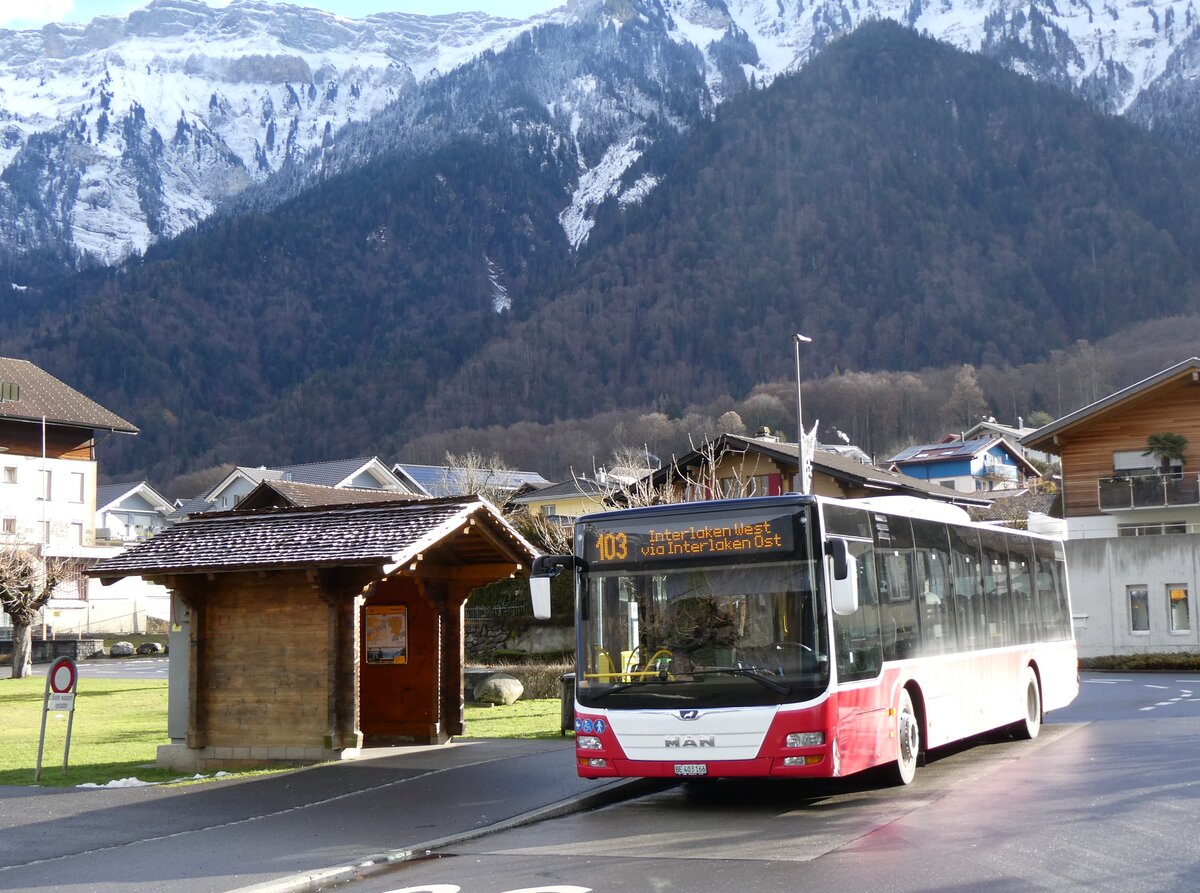 (270'731) - PostAuto Bern - BE 403'166/PID 12'336 - MAN (ex Dr. Richard, A-Wien Nr. 1411) am 7. Januar 2025 in B�nigen, See