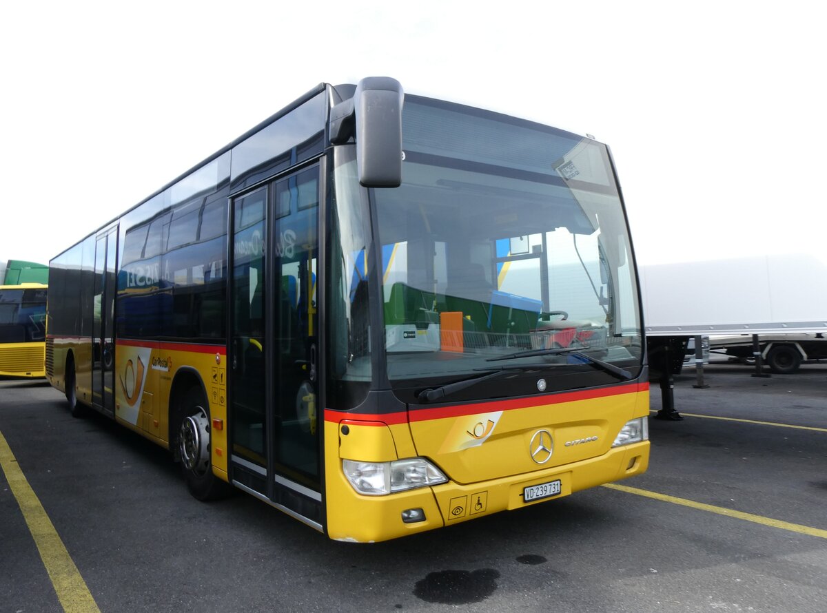 (272'720) - CarPostal Ouest - VD 239'731/PID 5719 - Mercedes (ex Faucherre, Moudon) am 9. M�rz 2025 in Kerzers, Interbus