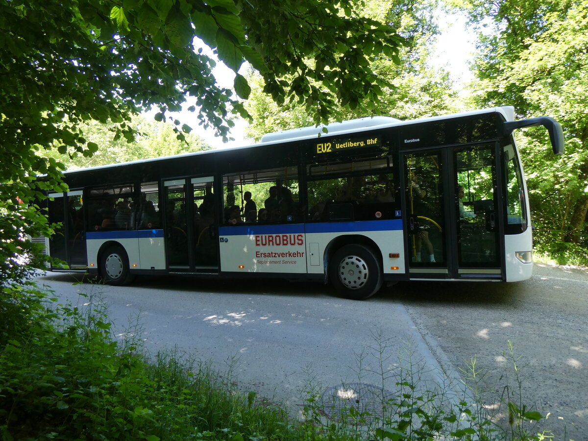 (276'112) - Welti-Furrer, Bassersdorf - Nr. 50/ZH 486'502 - Mercedes (ex Maag, Kloten Nr. 45) am 31. Mai 2025 beim Bahnhof Uetliberg