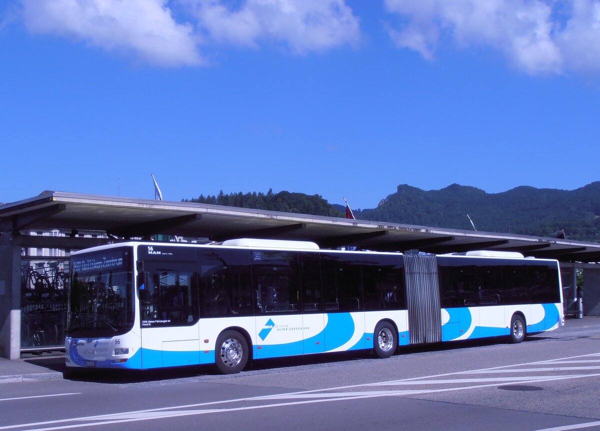 (277'735) - BOGG Wangen b.O. - Nr. 56/SO 181'963 - MAN (ex STI Thun Nr. 700) am 10. Juli 2025 beim Bahnhof Olten