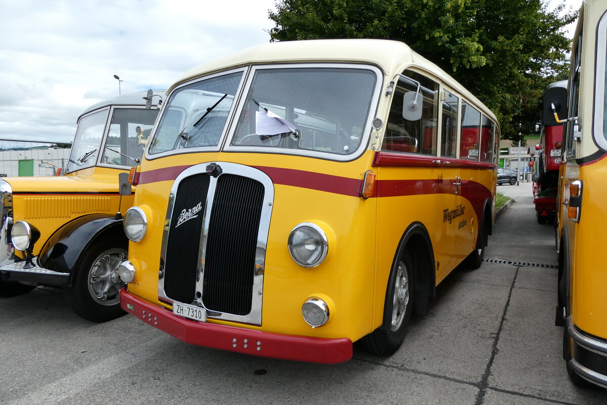 (279'640) - Wegm�ller, Attikon - ZH 7310 - Berna/R&J (ex M+79'501) am 30. August 2025 in Oberkirch, CAMPUS Sursee