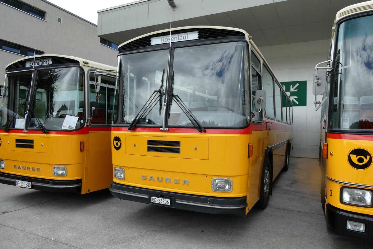(279'665) - Schmid, Th�rishaus - BE 26'206 - Saurer/T�scher (ex P 24'244) am 30. August 2025 in Oberkirch, CAMPUS Sursee