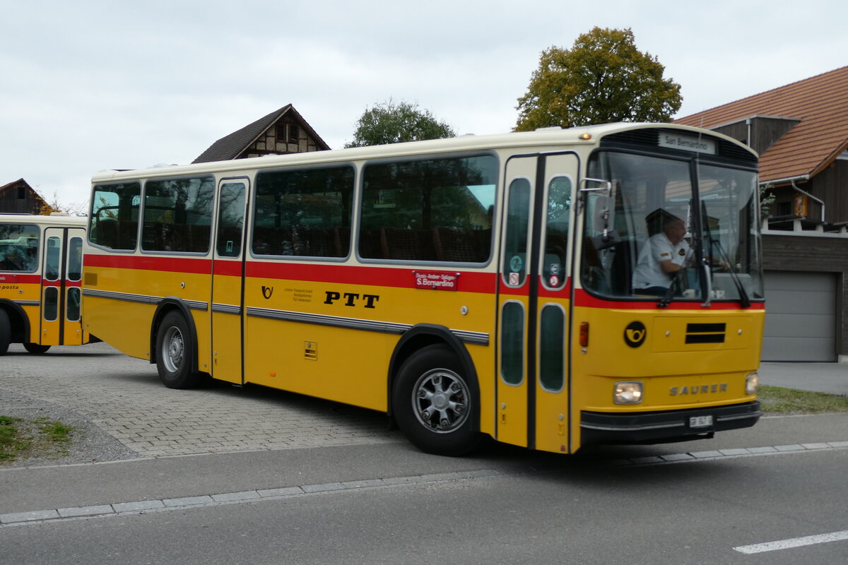 (281'459) - L�tscher, Haldenstein - GR 847 U - Saurer/T�scher (ex Overney, Bern; ex Autopostale, Croglio PID 3158; ex Monti, Cademario Nr. 10; ex PostAuto Graub�nden; ex Frigg, Zernez; ex P 24'403) am 12. Oktober 2025 in Hitzkirch, Interkantonale Polizeischule