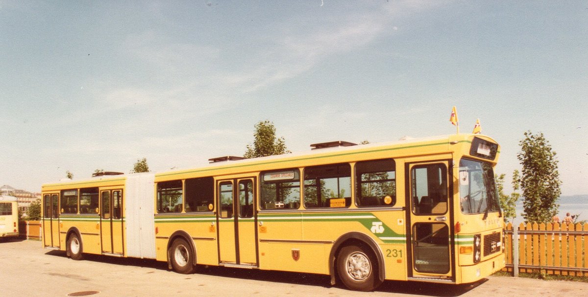 (MD075) - Aus dem Archiv: TN Neuch�tel - Nr. 231/NE 84'231 - Volvo/Van Hool im August 1981 in Neuch�tel, D�p�t