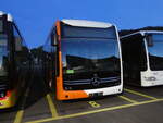 (261'230) - Globe-Limo, Gen�ve - (144'369) - eMercedes am 12.
