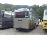 (208'814) - Schneider, Schmerikon - SG 13'934 - FBW/T�scher Hochlenker (ex Basler, Hofstetten; ex VBZ Z�rich Nr.