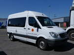 (262'269) - Ferrera, Eysins - Nr. 9 - Mercedes am 11. Mai 2024 in Kerzers, Interbus