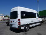 (262'288) - Ferrara, Eysins - Nr. 9 - Mercedes am 11. Mai 2024 in Kerzers, Interbus