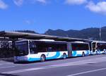 (277'732) - BOGG Wangen b.O.