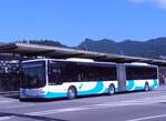 (277'734) - BOGG Wangen b.O.