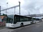 (275'860) - Wieland, Murten - Nr.