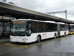 (275'838) - H�fliger, Sursee - Nr.