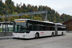 (281'312) - H�fliger, Sursee - Nr.