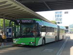 (194'145) - Weiss, Rottenburg - T�-W 379 - Solaris am 18.