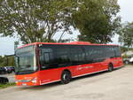 (254'392) - Unser Roter Bus, Ueckerm�nde - HGW-LB 316 - Iveco am 30.