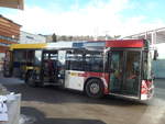 (187'384) - Stuppan, Flims - GR 52'063 - MAN/G�ppel am 26.