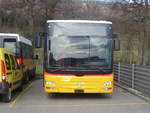 (214'317) - CarPostal Ouest - (JU 1925) - MAN/G�ppel (ex Stucki, Porrentruy Nr.