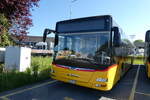 (286'387) - PostAuto Bern - BE 489'253/PID 12'334 - MAN (ex BE 535'079; ex Dr.