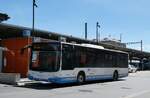 (287'141) - BOTG Amriswil - Nr. 409/TG 180'557 - MAN (ex Nr. 14) am 21. Mai 2026 beim Bahnhof Romanshorn