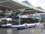(202'290) - Globe-Limo, Gen�ve - Nr.