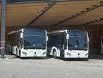 (217'335) - ABl Biasca - Nr.