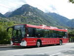 (249'936) - Steiner, Niedergesteln - VS 79'212 - Scania am 13.