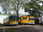 (211'333) - Transportes Tilar�n, Tilar�n - 3124 - Thomas am 15.