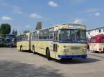 (150'439) - Linhart, K�nigstein - HG-PL 90H - B�ssing am 26.