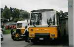 (026'523) - Wittwer, Chur - GR 16'004 - FBW/Gangloff (ex Eggenberger, M�riken; ex AVG Grindelwald Nr.