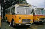 (068'514) - R�ber, Mettmenstetten - ZH 546'297 - FBW/Gangloff (ex P 23'202; ex P 21'002) am 19.