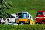 (110'318) - Sch�r, Ettenhausen - TG 175'032 - FBW/Hess (ex Fehlmann, Brittnau; ex Landolt, Langenthal; ex P 14'174) am 16.