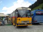 (146'374) - Jenzer, Aesch - BL 161'728 - FBW/T�scher (ex N�f, ...; ex Villiger, Beinwil) am 17.