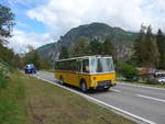 (184'910) - Wittig, N�rensdorf - SZ 84'883 - FBW/FHS (ex Tiemann, Oetwil Nr.