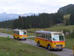 (197'789) - Frutig, Birmensdorf - ZH 560'883 - FBW/FHS (ex P 23'217) + M�ller, Ennetmoos - NW 23'167 - FBW/Gangloff (ex Rentsch, Gunten; ex P 23'203; ex P 21'003) am 16.