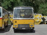 (220'101) - Wittig, N�rensdorf - ZH 205'322 - FBW/FHS (ex Tiemann, Oetwil Nr.