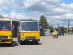 (220'123) - Wittig, N�rensdorf - ZH 205'322 - FBW/FHS (ex Tiemann, Oetwil Nr.
