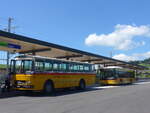 (225'876) - Birchler, Remetschwil - AG 54'039 - FBW/T�scher (ex Gerber, Winkel; ex Eggenberger, M�riken; ex Tanner, Bubendorf; ex P 24'803) + PostAuto Bern - Nr.