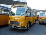 (228'511) - R�ber, Mettmenstetten - ZH 546'297 - FBW/Gangloff (ex P 23'202; ex P 21'002) am 2.