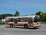 (235'699) - Wegm�ller, M�nsingen - BE 399'675 - FBW/R&J (ex Bamert, Wollerau) am 15.
