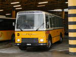 (248'668) - Wittwer, Chur - GR 16'004 - FBW/Gangloff (ex Eggenberger, M�riken; ex AVG Grindelwald Nr.